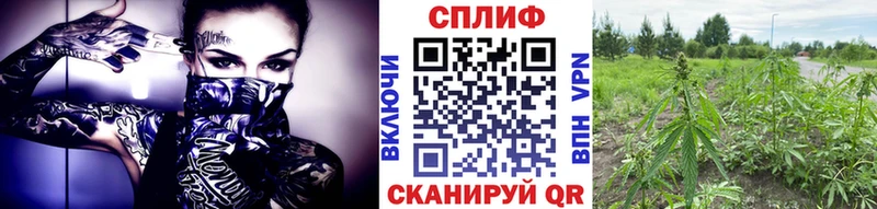 Где купить наркоту Среднеуральск Alpha PVP  ГАШИШ  Каннабис 