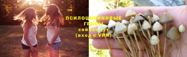 2c-b Богородицк