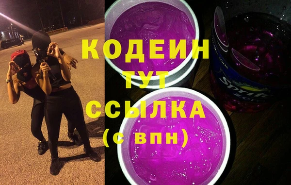 прущие грибы Гвардейск