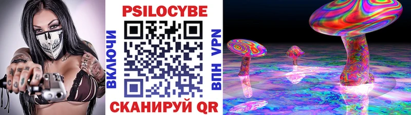 Псилоцибиновые грибы Cubensis  Среднеуральск 